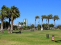 dsc00971