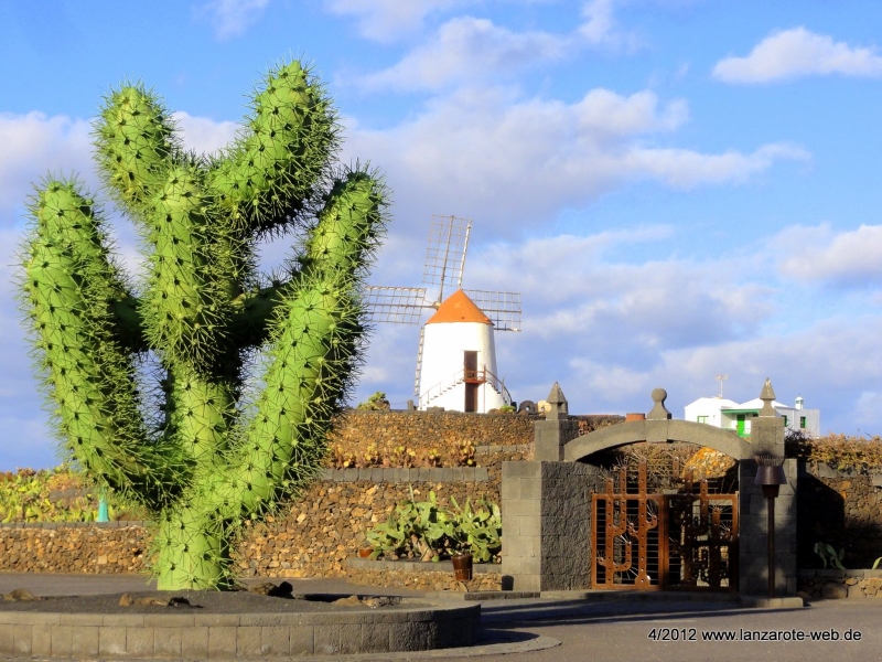 Jardin de Cactus - Touristenzentren von César Manrique