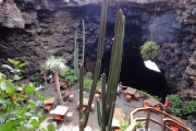 jameos-del-agua-1