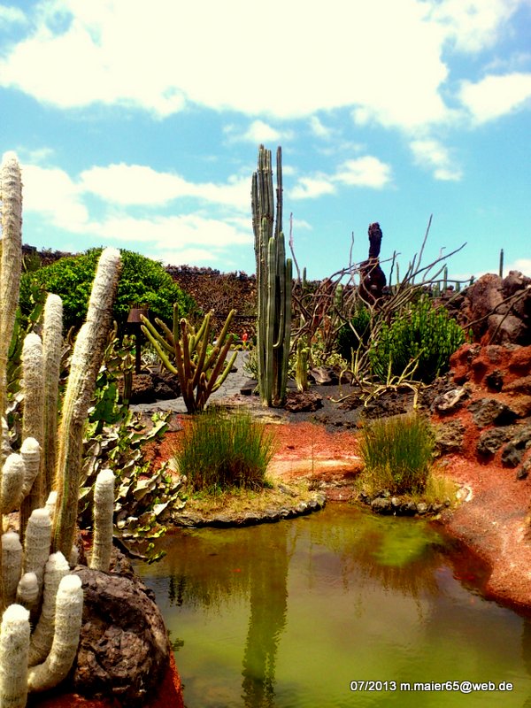 Kaktusgarten Guatiza