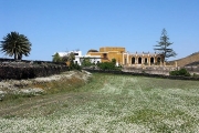 la-vegueta-1