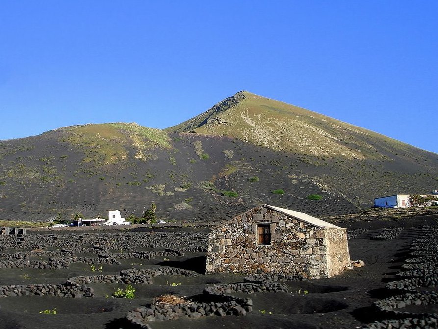 Weinanbau und Bodega Lanzarote