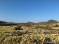 la-vegueta19-001