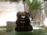 Lagomar in Oasis de Nazaret