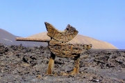 Feuerberge - Timanfaya