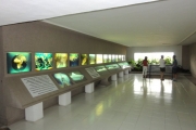 Jameos del Agua