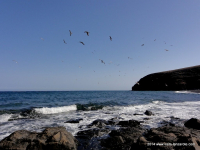 Playa El Pozo Strand