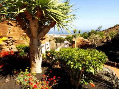 Blick von Castillo Lanzarote 3